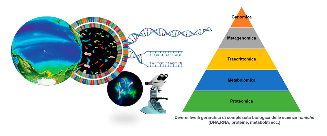 Figura 2 COMPLESSITÀ BIOLOGICA